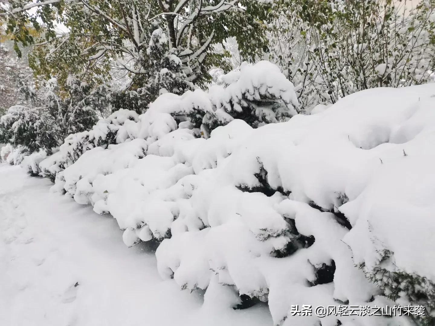 小说一纸合约让我无路可逃下部19,小说一纸合约让我无路可逃下部3