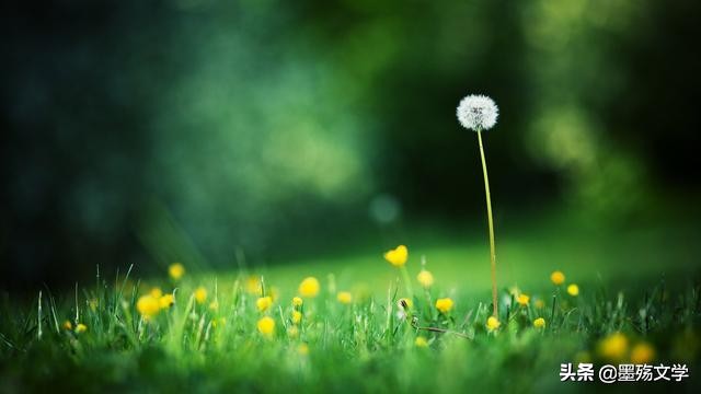 爱了谁伤了谁,受过的伤还能爱谁