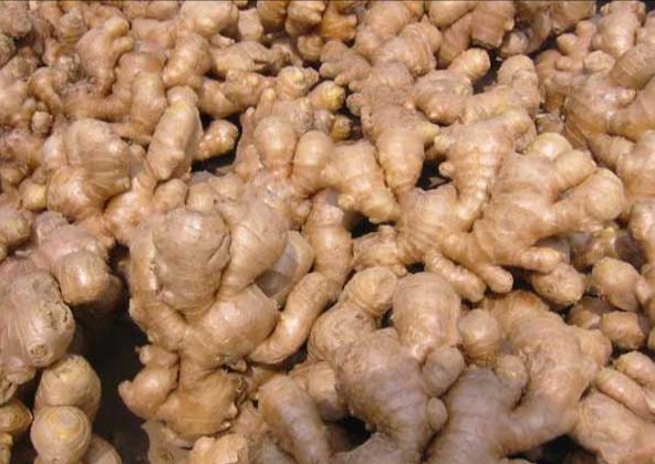 立夏种姜的方法,种生姜取母姜