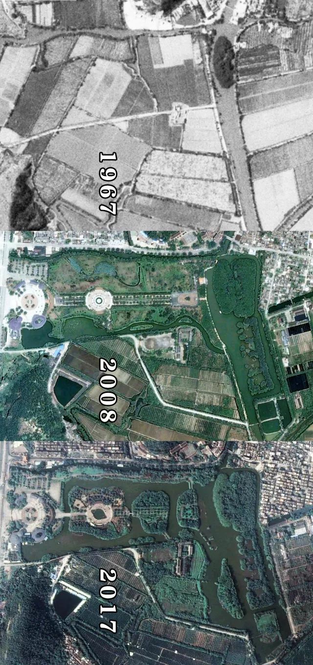 小鸟天堂真实现状,小鸟天堂后续怎样了