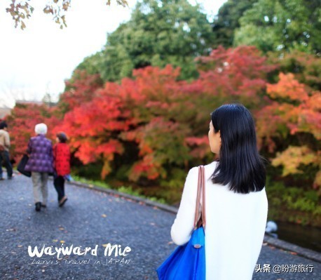 日本关西京都奈良旅游,日本关西自由行之奈良