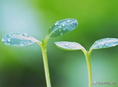 康复之路漫漫长路,康复十年胃病又犯了