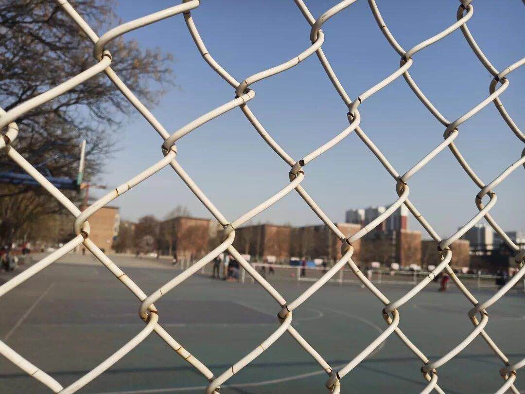 数学中的抽象美,在数学中我们发现真谛