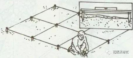 园林铺草皮注意事项,园林铺草皮美篇