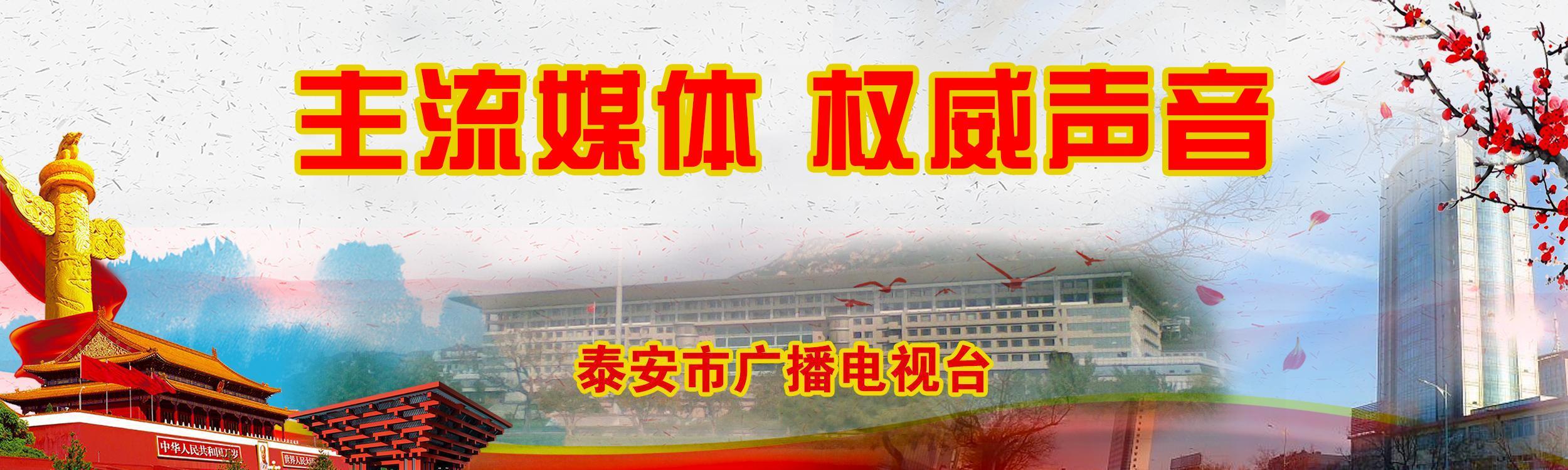 岱岳区教育机构,教育局对民办幼儿园年检工作总结