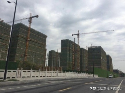 谁在嘉兴黑土地上“种”房子?