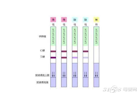 为啥别人怀得上，你就怀不上？