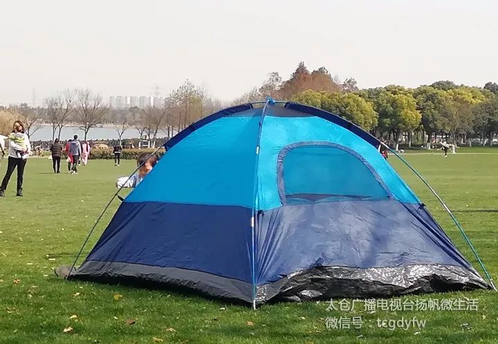 太仓踏青地方在哪里,太仓踏春旅游攻略