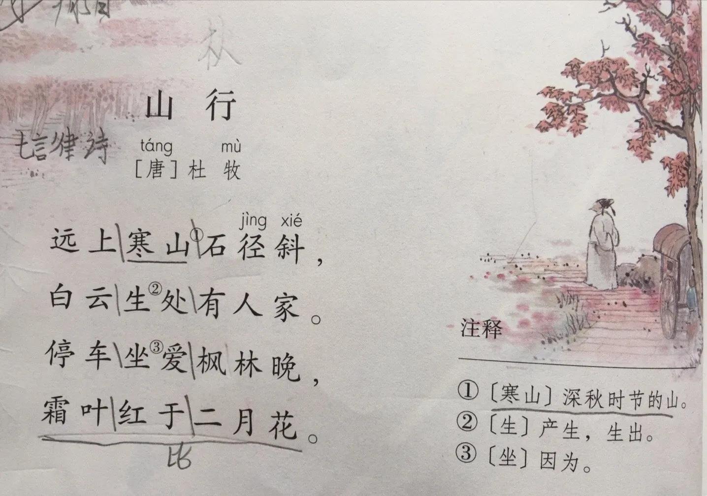 央视主持怒怼“一骑qí红尘妃子笑”,语文教材编者回应