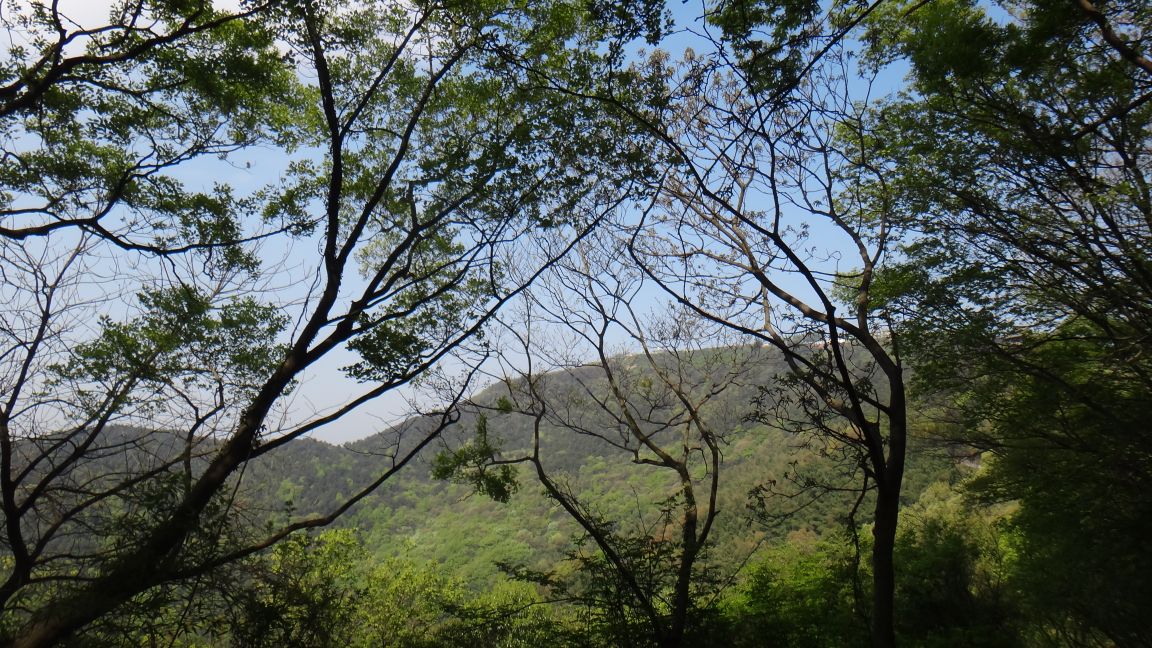 苏州第一高峰穹窿山,苏州最高的山穹窿在哪里