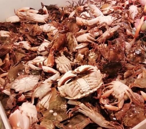 买螃蟹别瞎拿，牢记5个妙招，买的螃蟹个个膏满肉肥，不花冤枉钱