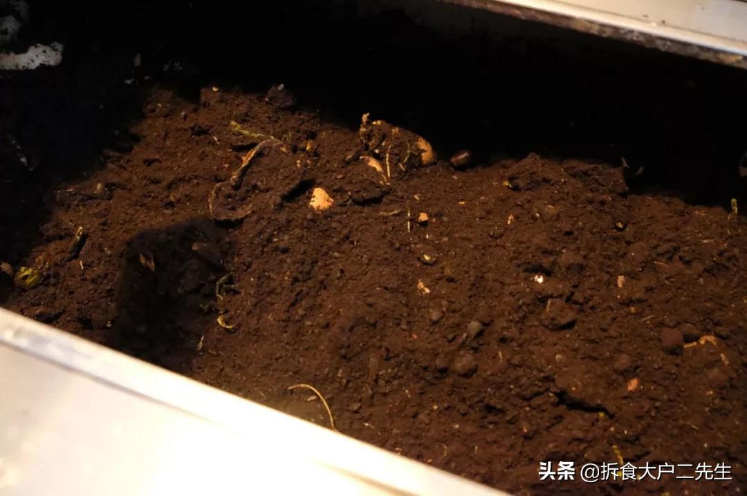 全球第一的素食餐厅,全球第一家素食馆