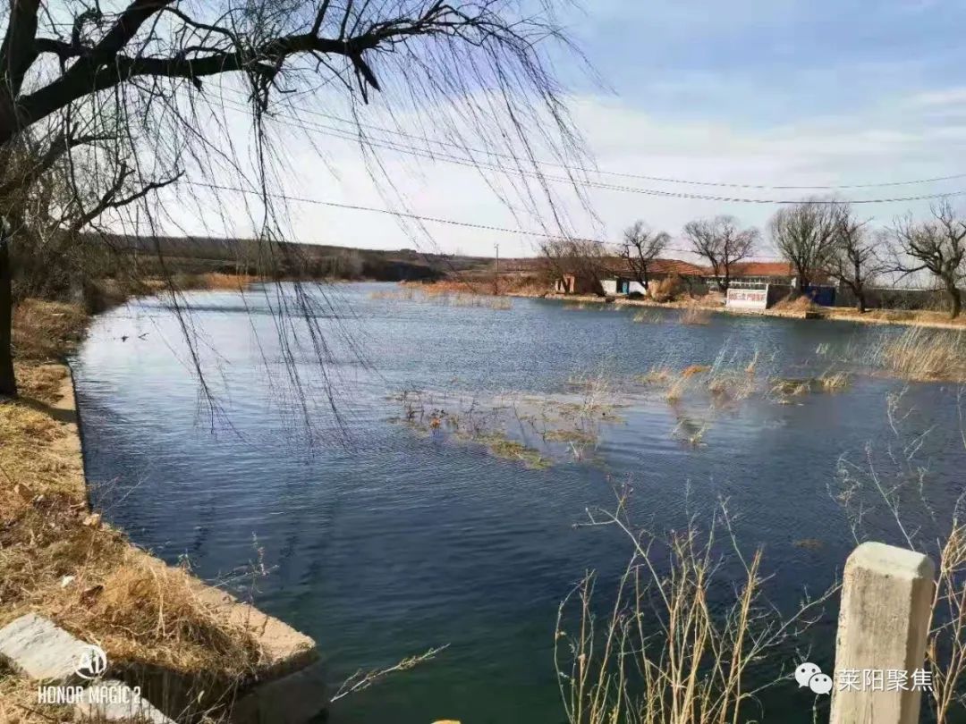 莱阳最古老的村,莱阳朱耩村