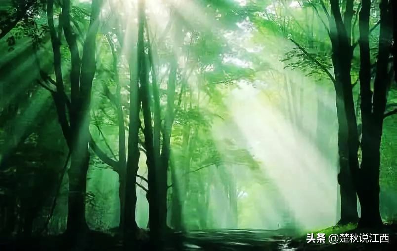 江西鹰潭属于赣北吗,江西鹰潭属于上饶吗