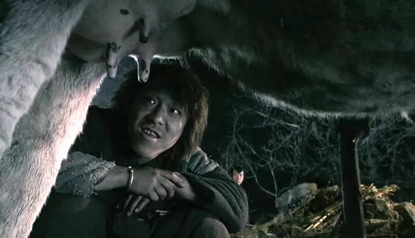 《斗牛》:苦难终将过去,只要熬下去,终会活下去