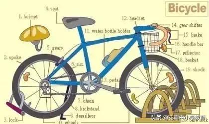 这36张图包含了中学英语所有生活用词,太全了,收藏起来