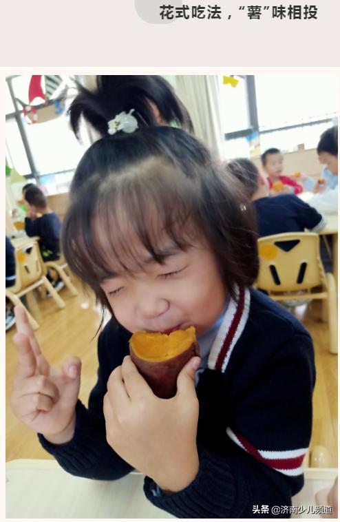 幼儿园红薯生成课活动方案,幼儿园科学教案红薯的成长过程