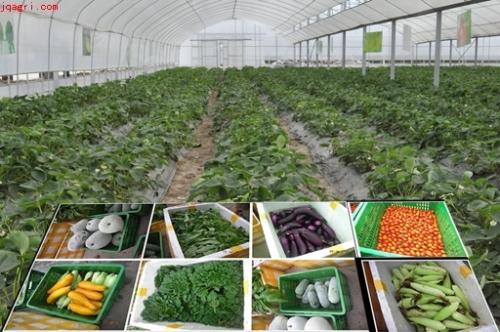 农业经济管理专业分析,农林经济管理学就业方向及前景