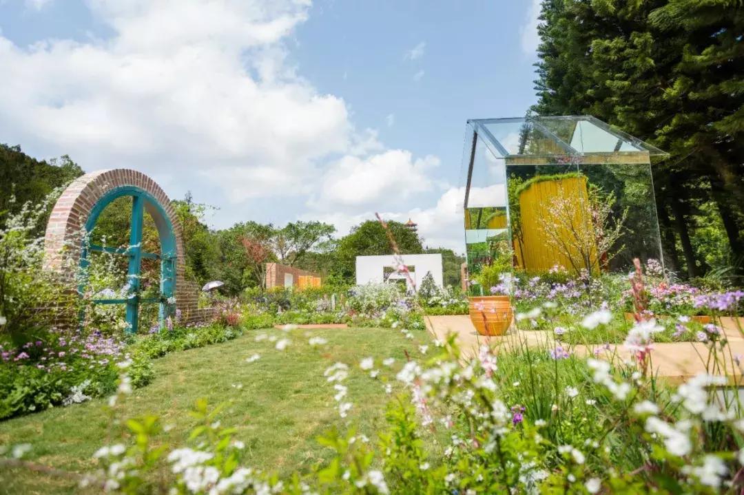 未来10天预警，深圳最最最最火的地方在这里，美女都赶来打卡