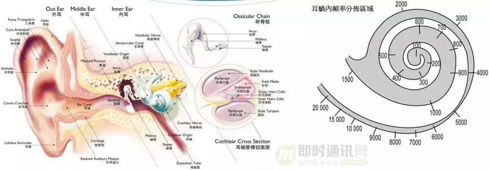 如何理解音频编解码,音频编解码器工作原理