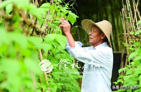 一位老党员靠捡物品捐款,七旬老党员捐献遗体上交最后一笔