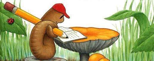 动物外貌描写天鹅的作文300字,各种动物外貌描写大全