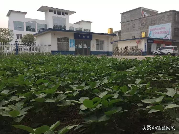 念念不忘必有回响阿离,念念不忘必有回响散文朗诵