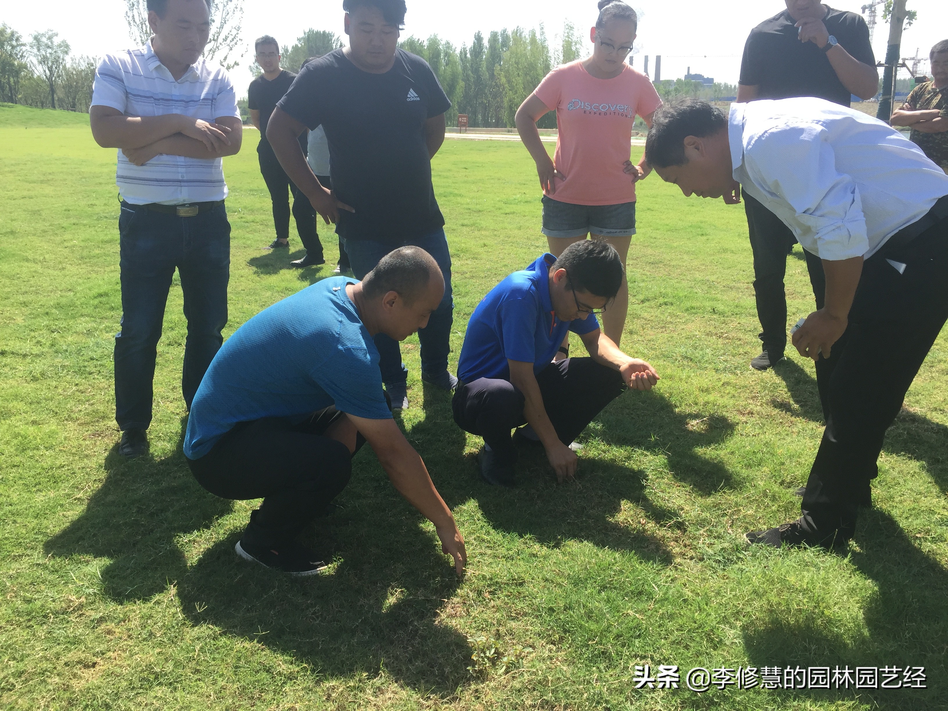 草坪怎么种植打理,草坪如何修剪