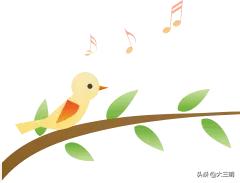 中国绿都最氧三明香飘四海,中国绿都最氧三明四季行主题活动