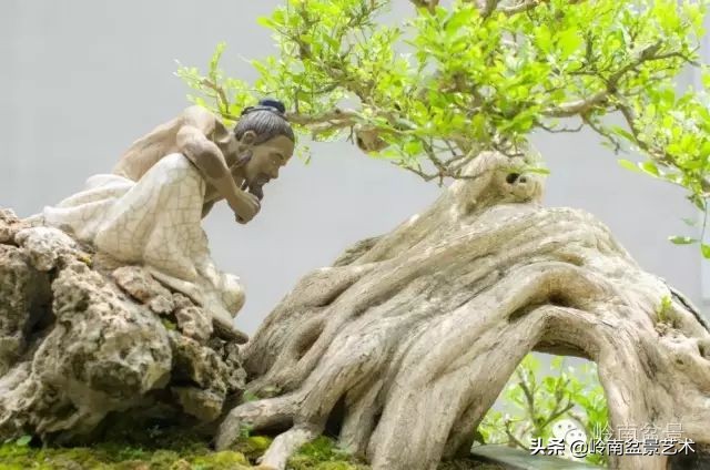 骞哥涔呬箙鐢滅敎铚滆湝,骞哥涔呬箙