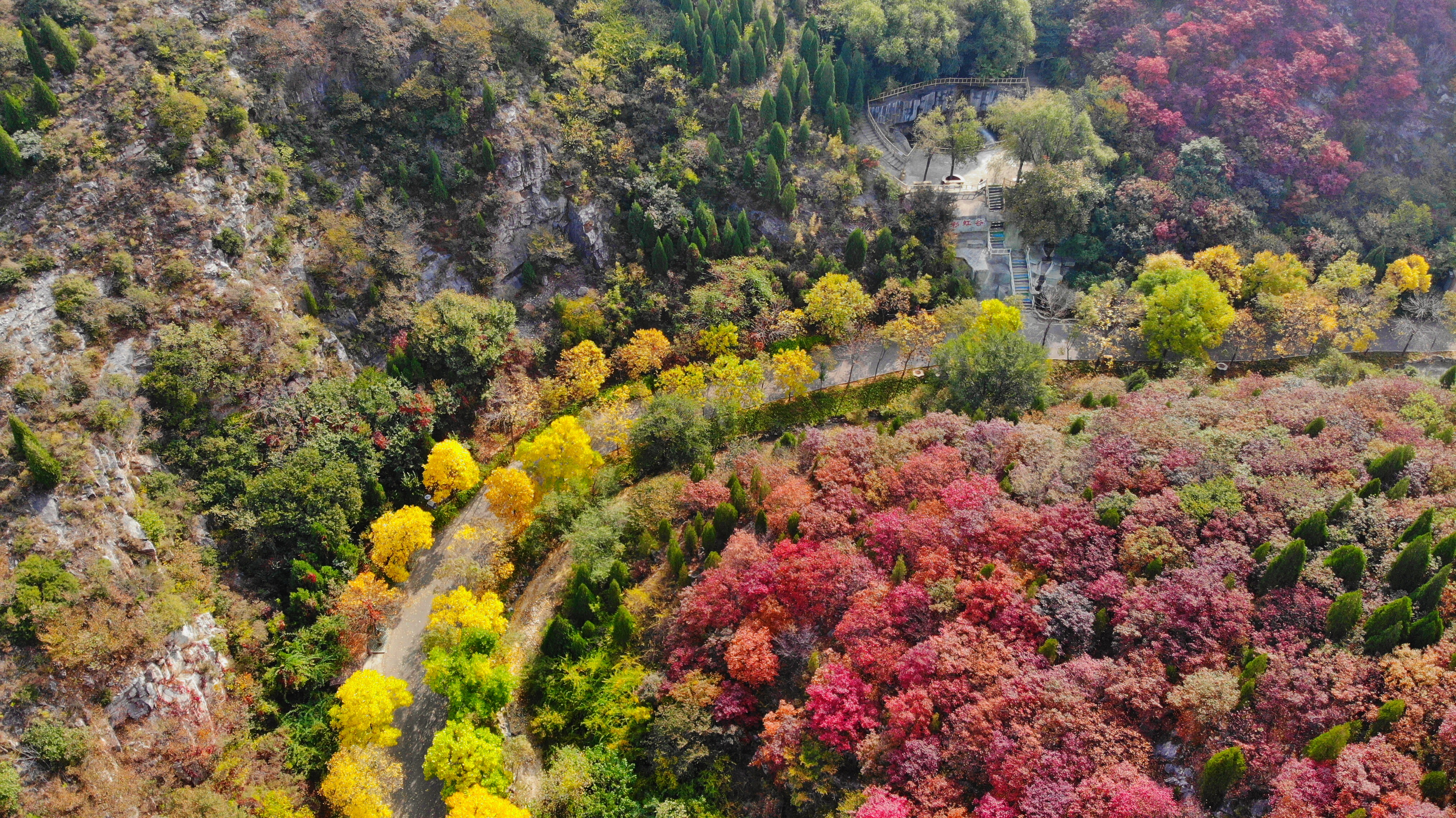 木叶动秋声完整视频,木叶动秋