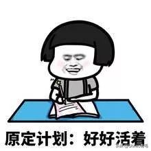 猫粮黄曲霉素中毒,猫吃了毒猫粮慢性中毒