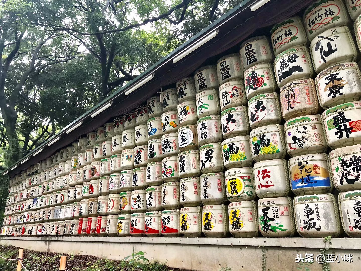 日本自由行7天看富士山,东京自由行攻略东京富士山自由行