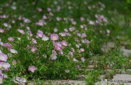 无锡夏天避暑的地方,无锡附近暑假避暑旅游好去处