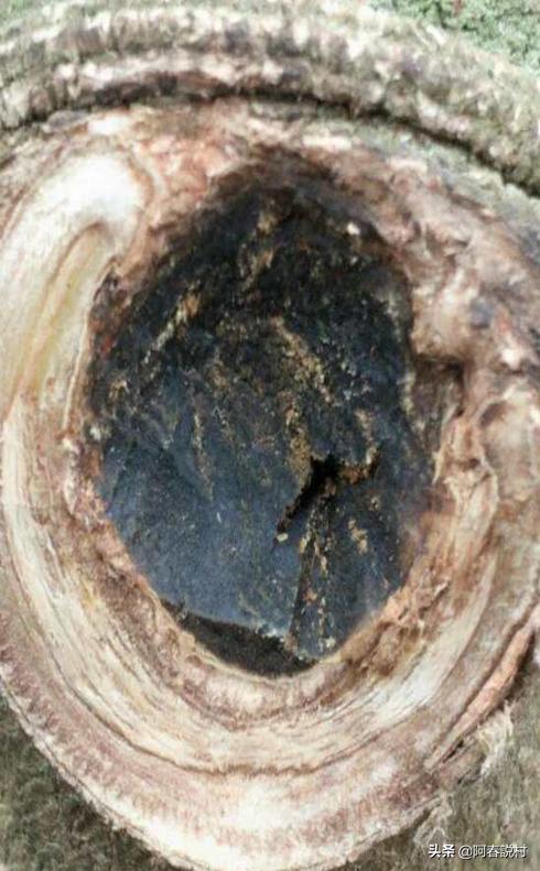 农村好货有哪些,农村好货大全