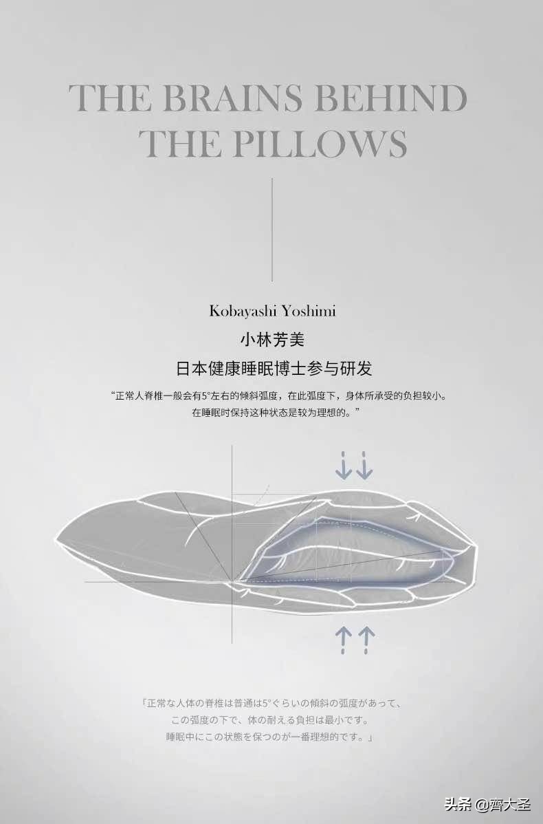 盘点所有枕头,最贵的枕头嘉唯枕头