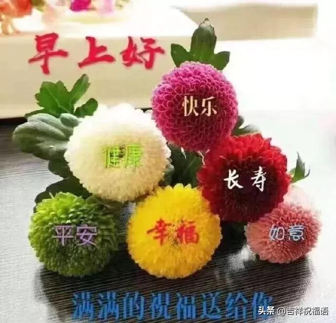 最新早晨好问候祝福语闪图,适合早晨发的高情商短句早安图片