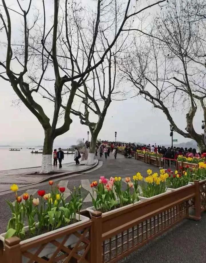 杭州最宜居城市,杭州哪里比较适合宜居