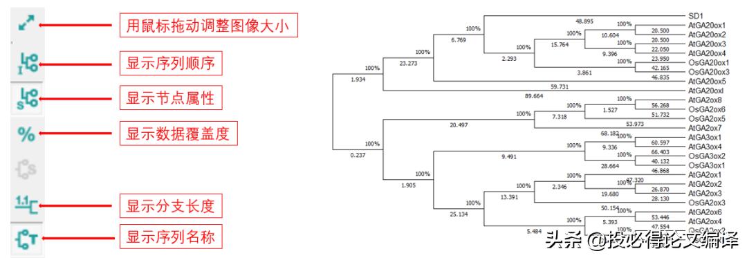 生物学应用软件,制作生物进化树的软件