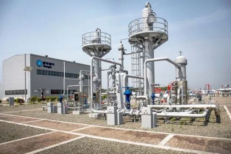 交易量翻倍,上海石油天然气交易中心价格指数