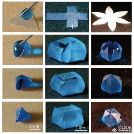 头发粘在一起是怎么回事,为什么头发会粘在一起