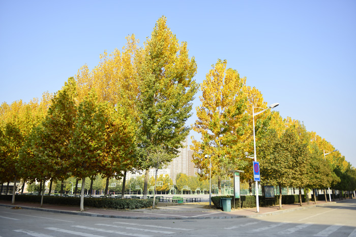 漯河医专全国排名,漯河医专2022排名