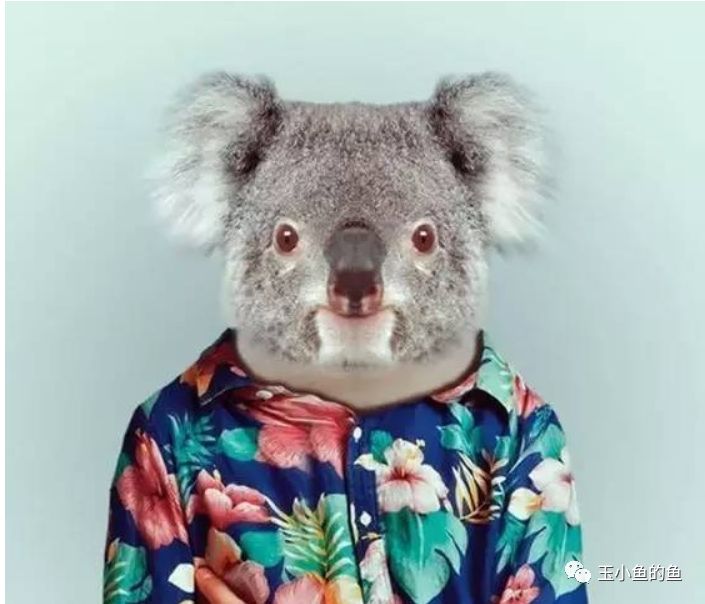 pdp性格测试有用吗,pdp动物性格测试分析