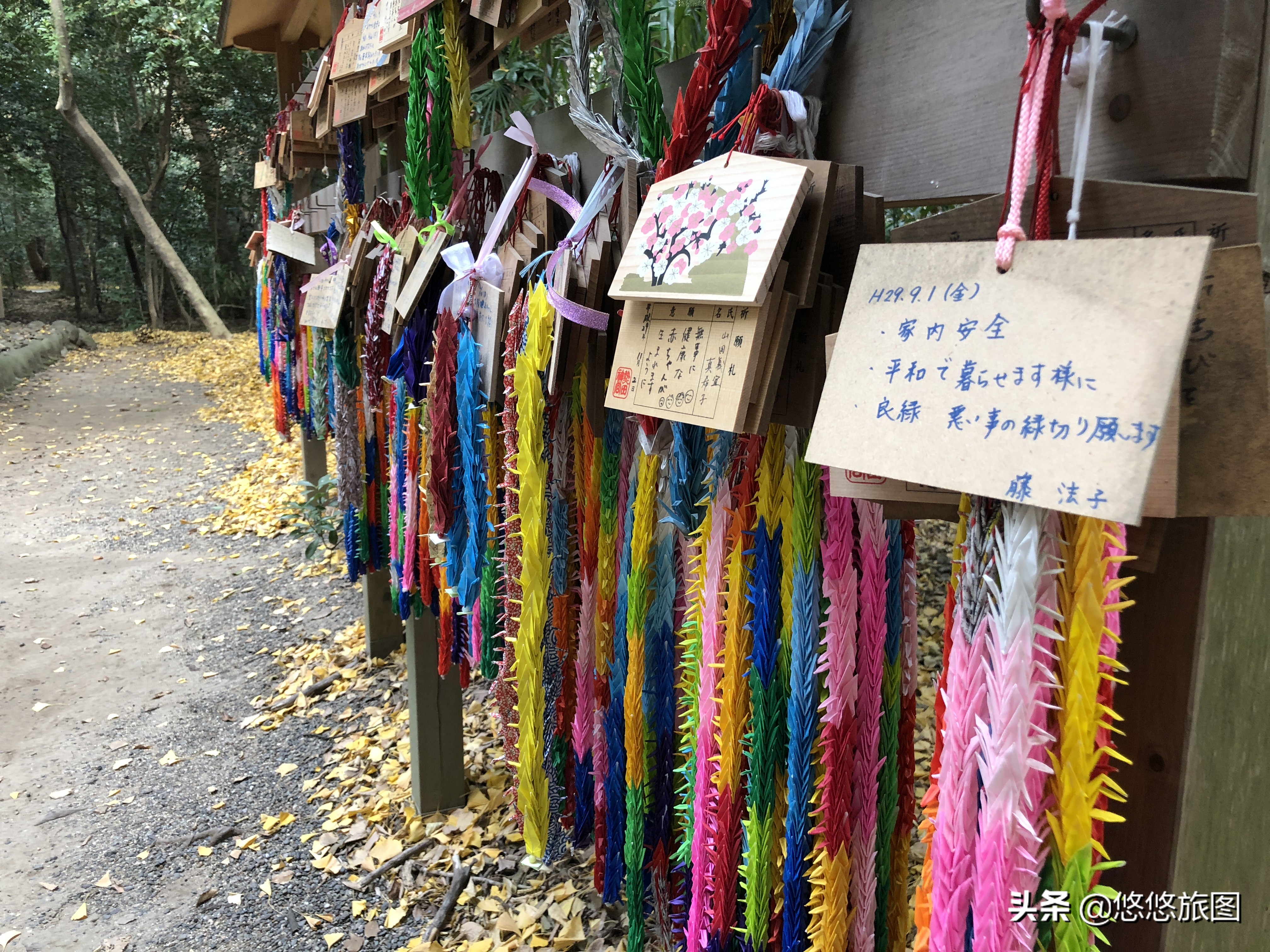 名古屋到白川乡两日游,名古屋之旅全集视频