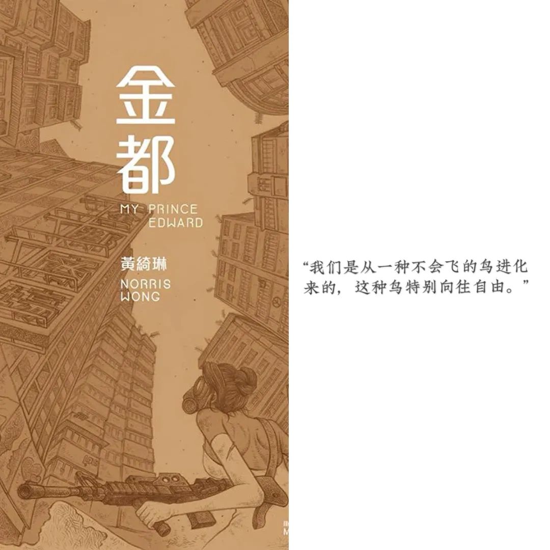 经典港片金像奖,第29届香港电影金像奖十月围城