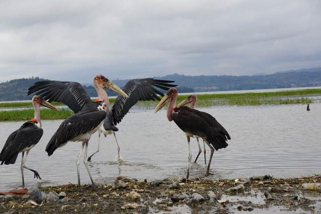 如果你做好了去冒险的准备，那么来非洲一趟吧，我在非洲等你来