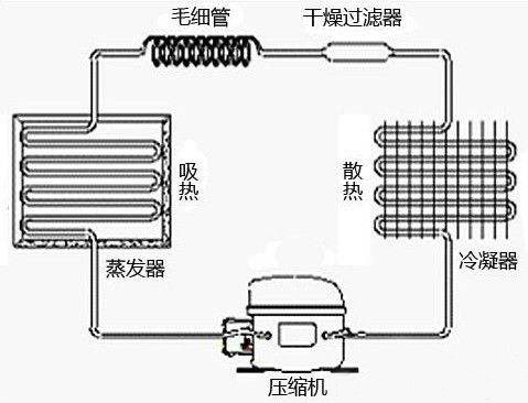 冰箱使用100个常识,选购什么样的冰箱才不会串味