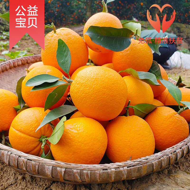 免狐扶贫项目上线，为麻阳甜橙解决销路难题