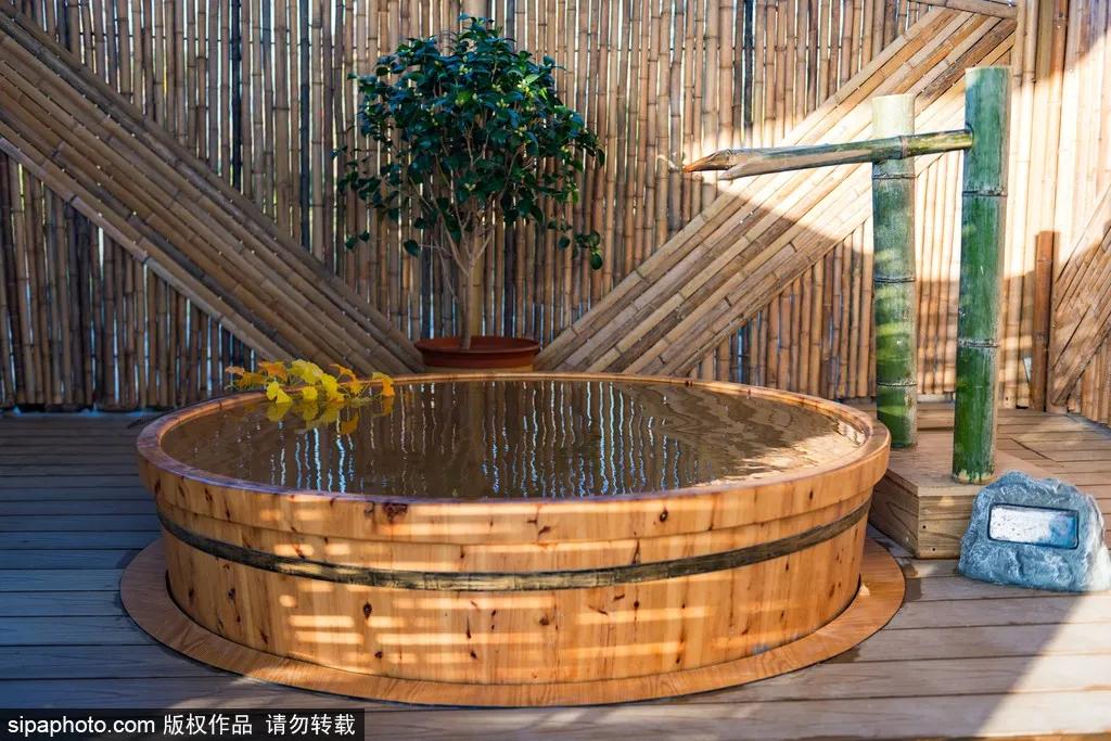 故宫近期有什么展,故宫600年大展怎么进入