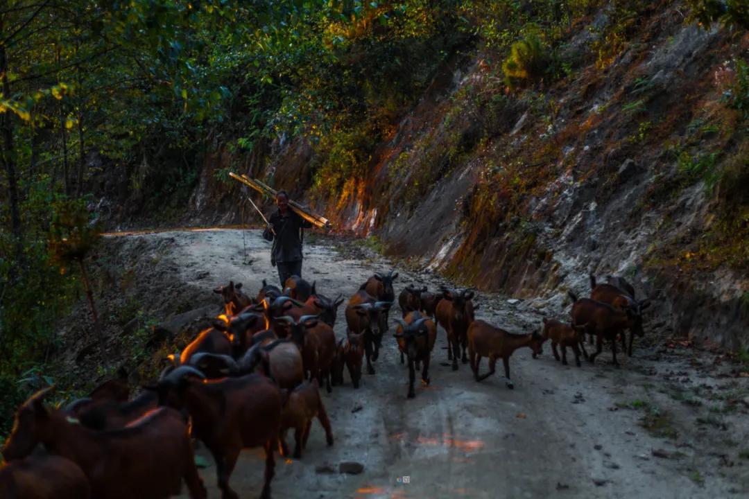 保山有魅力的地方,云南保山有多迷人